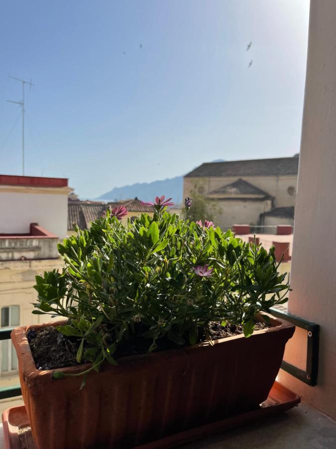 Apartment A Casa Di Stella